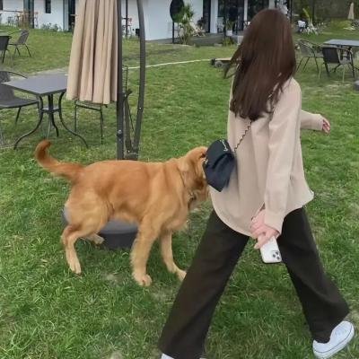 小镇警事